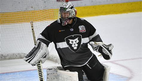 Arturs Silovs – DobberProspects.